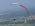 Paragliders